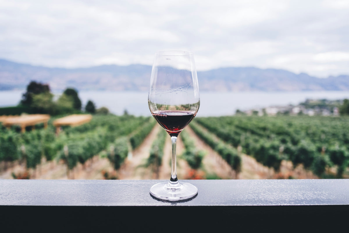Our Top 5 Favorite Wines to Aerate